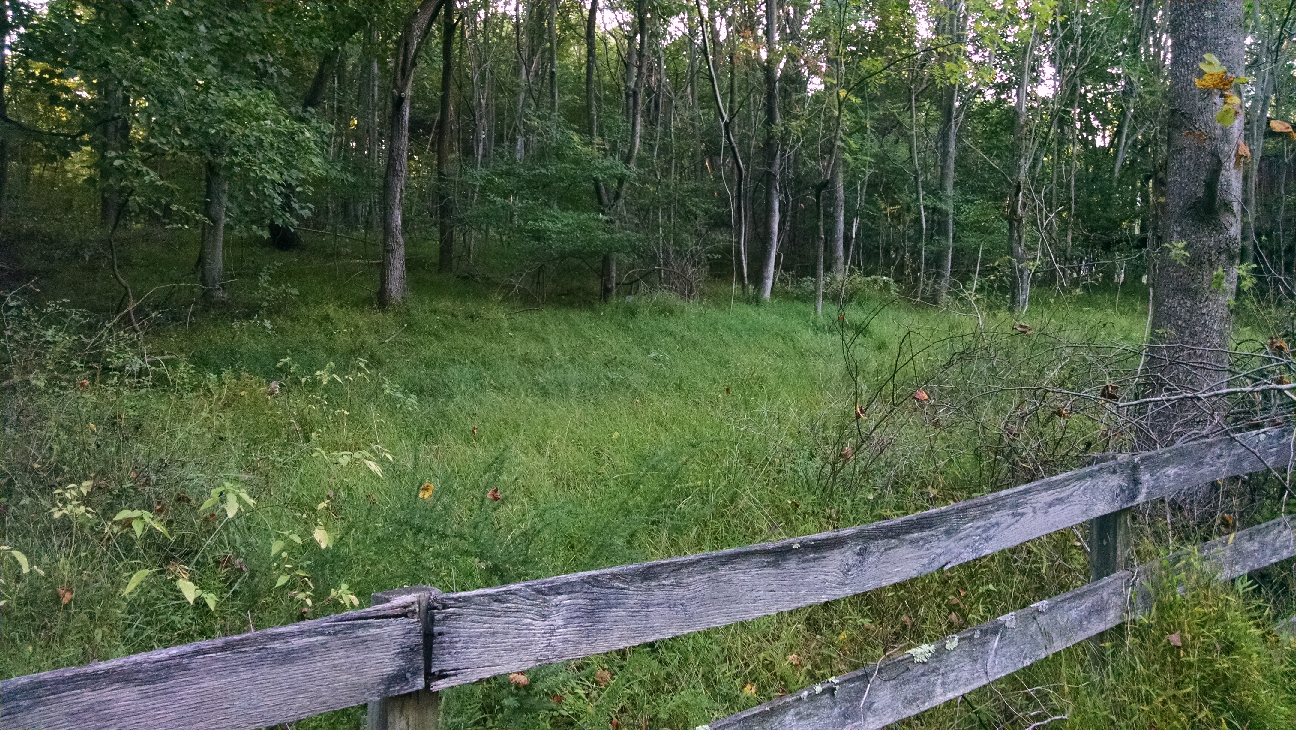Site of Luther Potterfield's barn where John Mobberly was shot and killed in April 1865