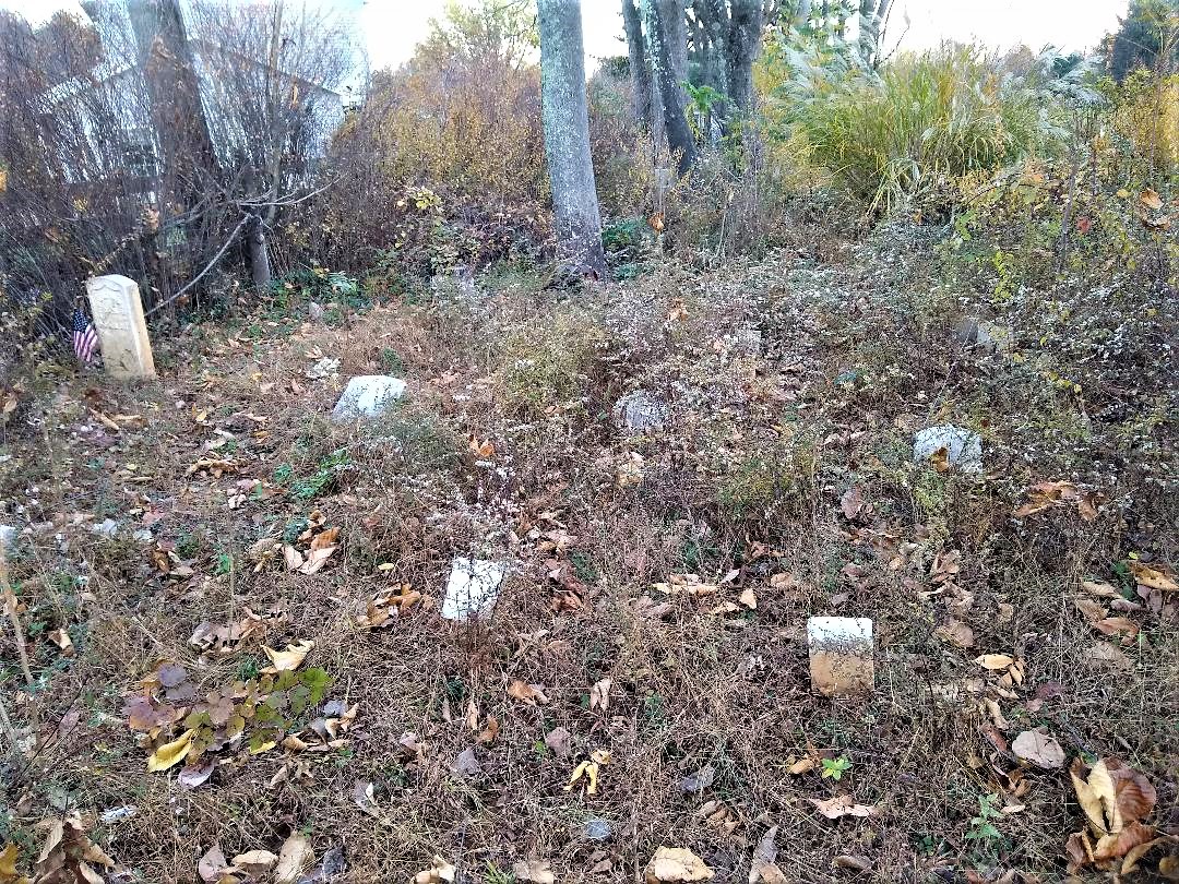 Portion of Mt. Sinai Cemetery  as it appeared in December 2020..