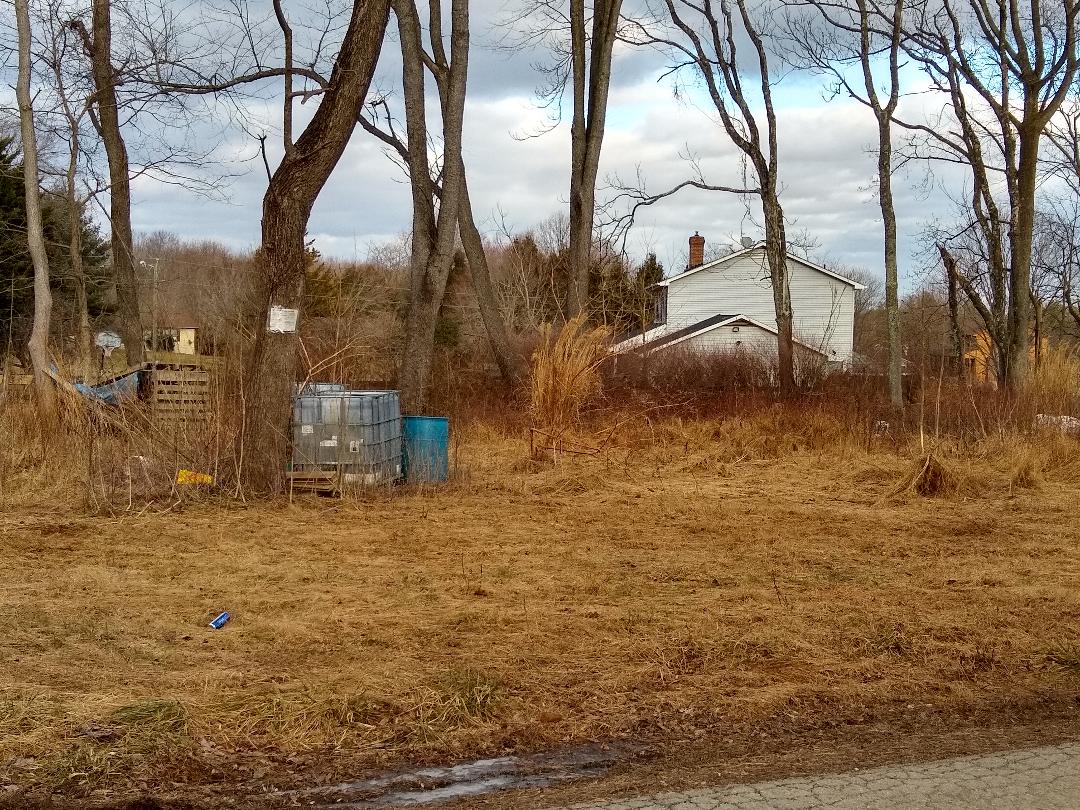 The Mount Sinai Cemetery lot as seen from Britain Road, February 2021