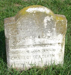 Gravestone of Emanuel Leekins & Charlotte Leekins